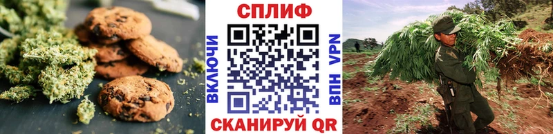 Купить  Всеволожск  Canna-Cookies конопля 