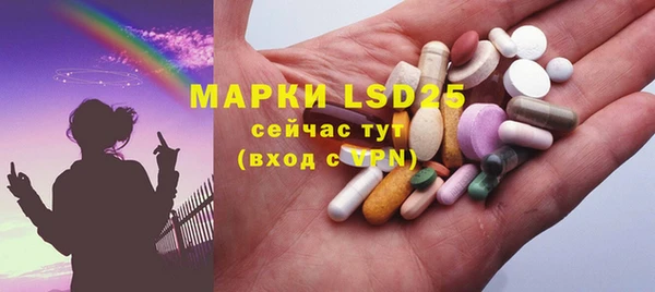прущие грибы Карпинск