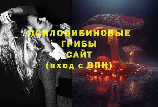ALPHA-PVP Касимов
