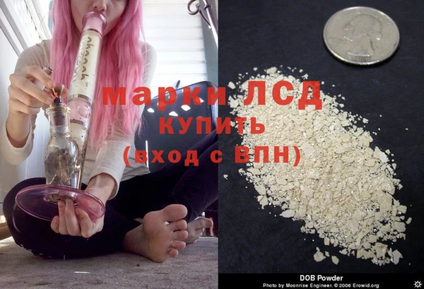 прущие грибы Карпинск