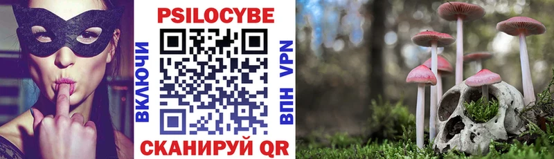 Купить  Всеволожск  Псилоцибиновые грибы прущие грибы 